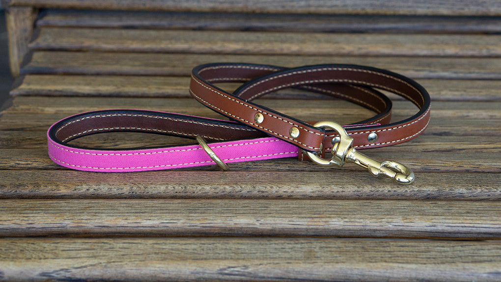 Upland & Downstream Countryside Leash