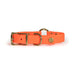 Upland & Downstream orange Biothane collar with brass hardware and tail snap and center ring