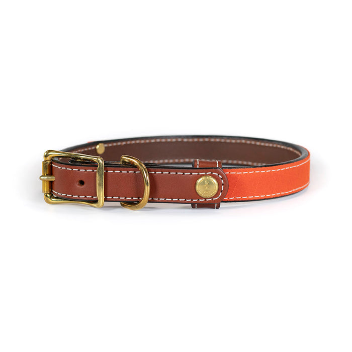 Upland & Downstream Countryside Collar