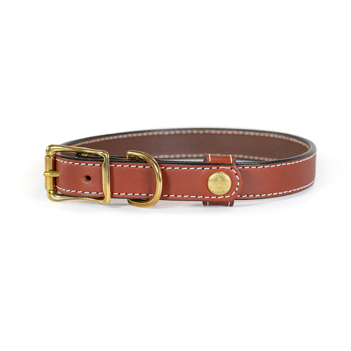 Upland & Downstream Pendleton Collar