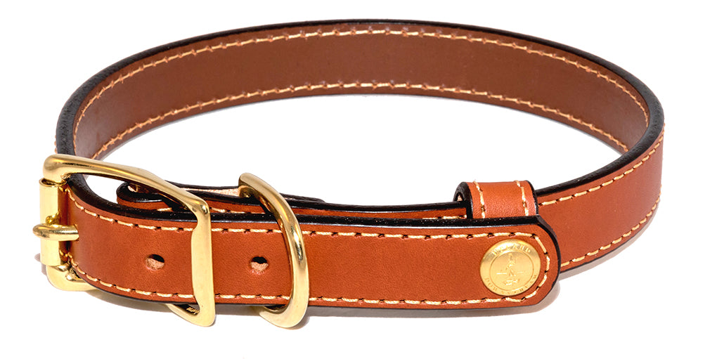 Upland and Downstream tail snap dog collar in tan bridle leather