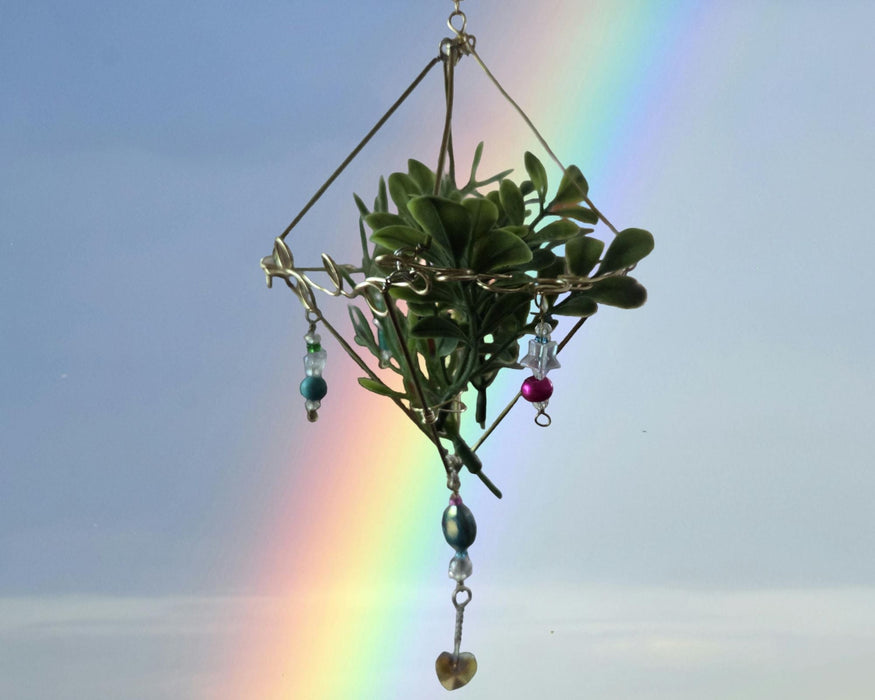 Air Plant Holder