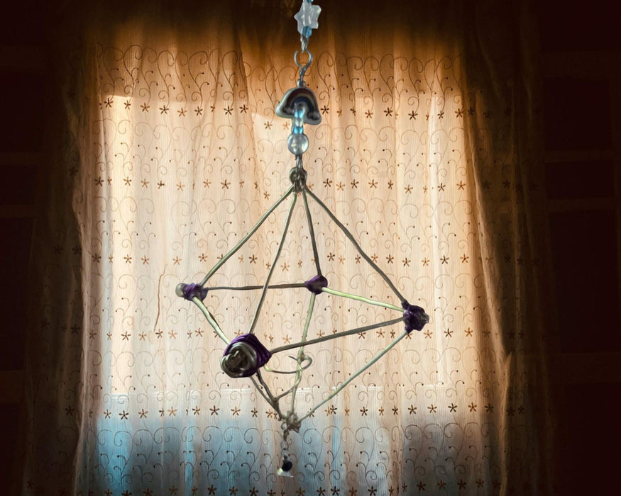 Air Plant Holder 2