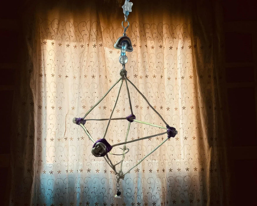 Air Plant Holder