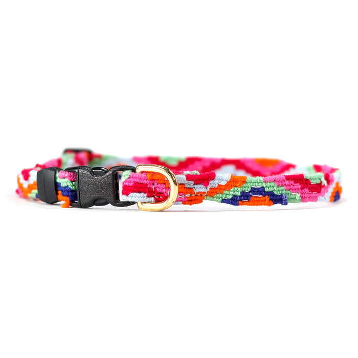 extra small a tail we could wag collar in zig zag Retro pattern in pink, green, dark blue