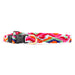 extra small a tail we could wag collar in zig zag Retro pattern in pink, green, dark blue