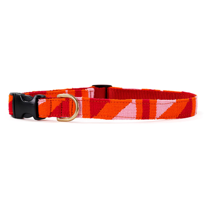 a tail we could wag Side-Release Dog Collar - Color Block