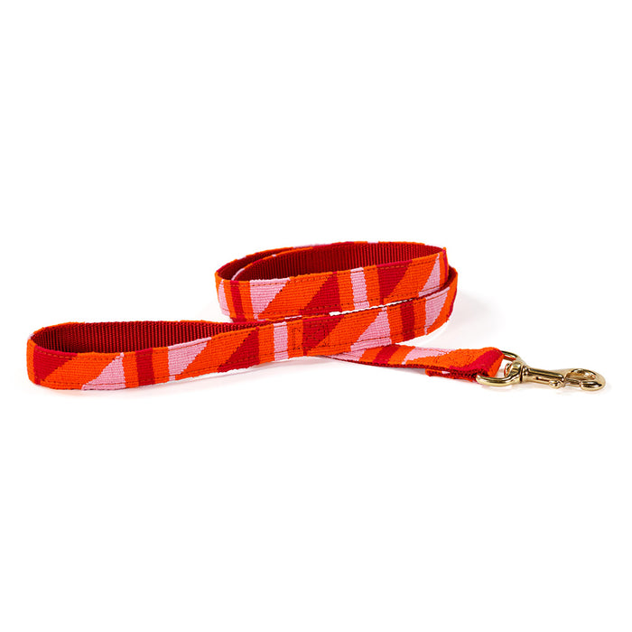 a tail we could wag Leash - Color Block