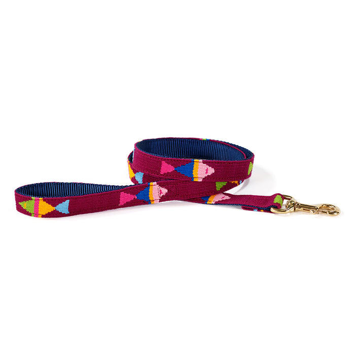a tail we could wag Leash - Foolish Fish