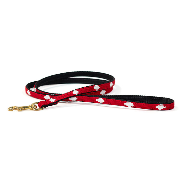 a tail we could wag Leash - Diamond