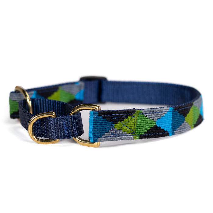 a tail we could wag Martingale Dog Collar - Argyle