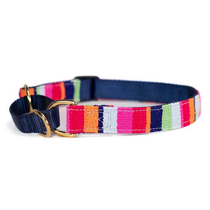a tail we could wag Martingale Dog Collar - At the Beach