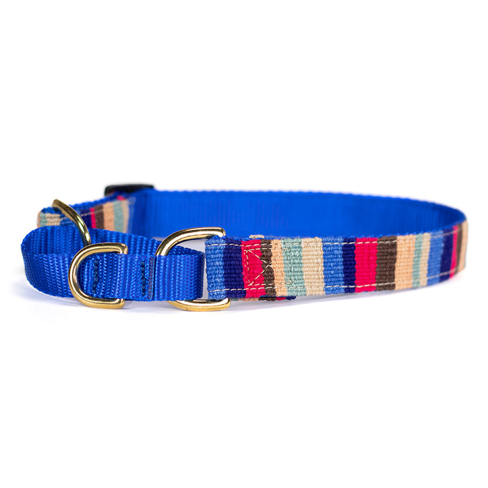a tail we could wag Martingale Dog Collar - At the Beach