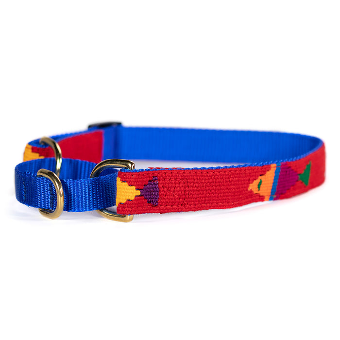 a tail we could wag Martingale Dog Collar - Foolish Fish