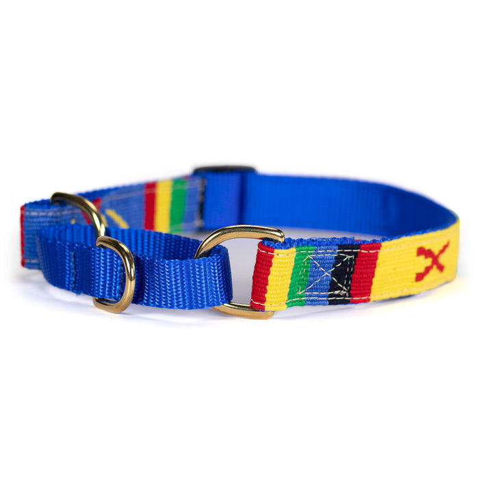 a tail we could wag Martingale Dog Collar - Harborside Daybreak