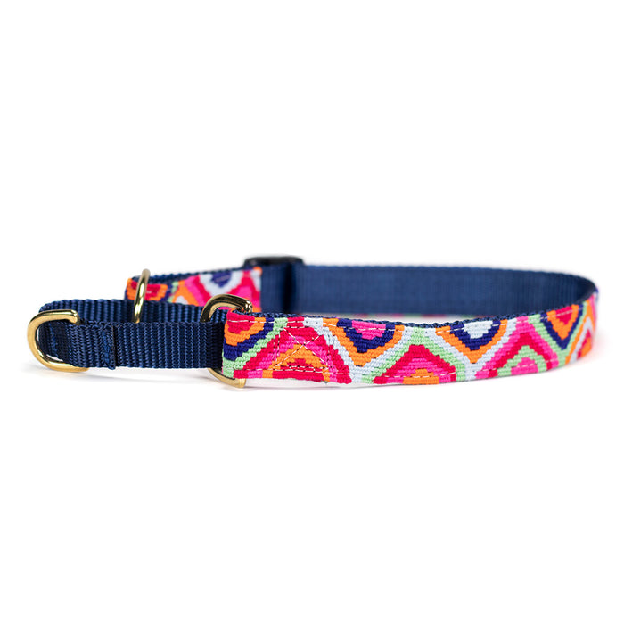 a tail we could wag Martingale Dog Collar - Retro