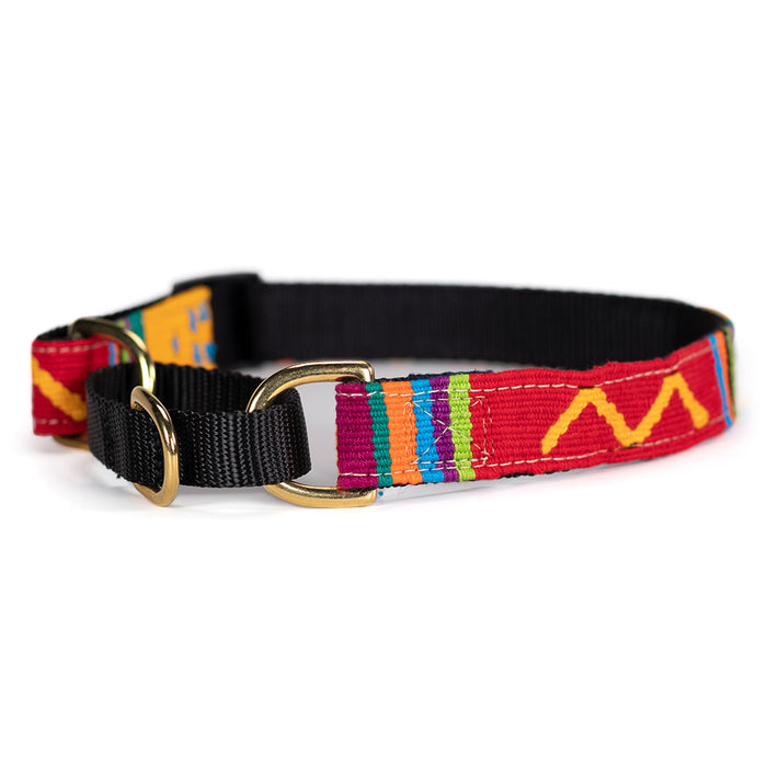 a tail we could wag Martingale Dog Collar - Sun Valley