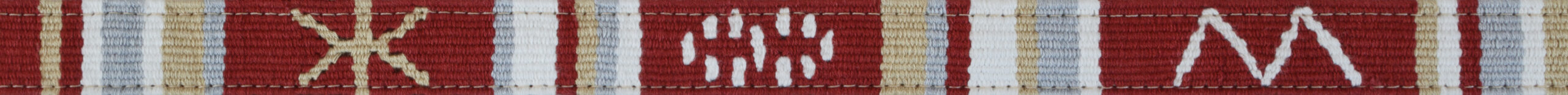 a tail we could wag Side-Release Extra Small Dog or Cat Collar - Sun Valley