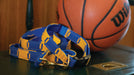 game day yellow and blue collar and leash with basketball