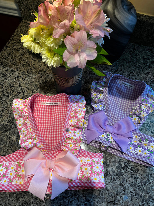 Step in Harness, Purple Daisy
