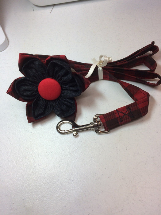 All colors - Matching Leashes