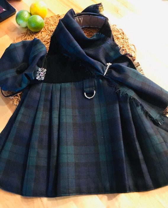 Tartan Dog Kilt with Tam Hat: Scottish Pet Costume