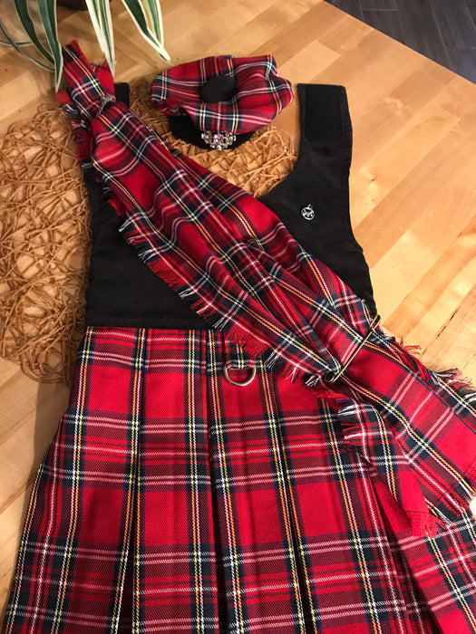 Tartan Dog Kilt with Tam Hat: Scottish Pet Costume