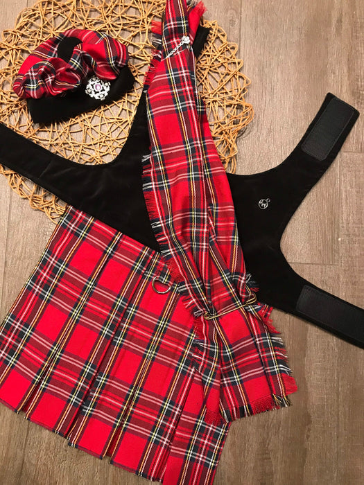 Kilt with Tam Hat and Sash: Scottish Pet Costume