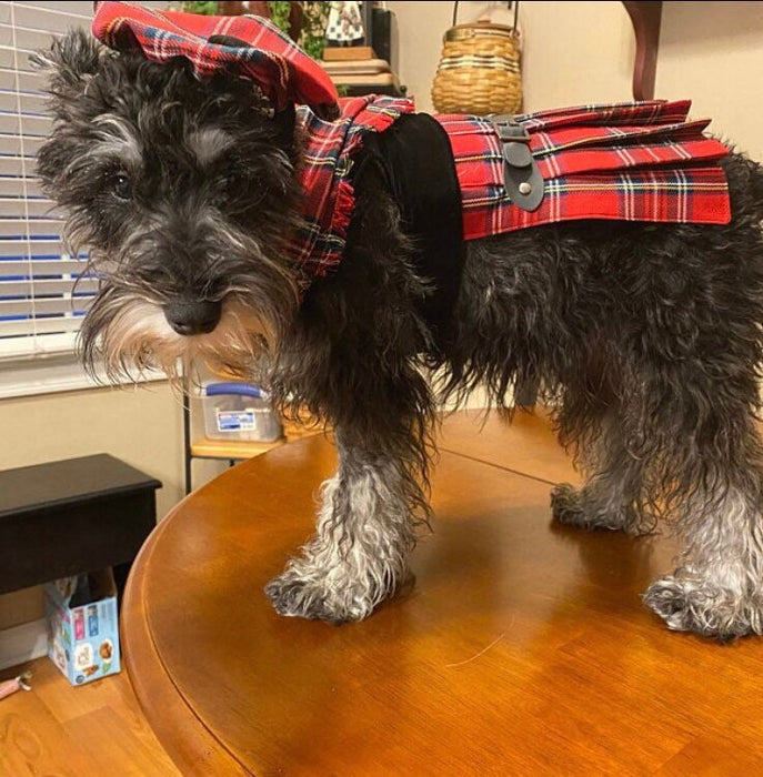 Tartan Dog Kilt with Tam Hat: Scottish Pet Costume