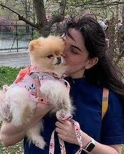 Harness- Step-in Dog Harness