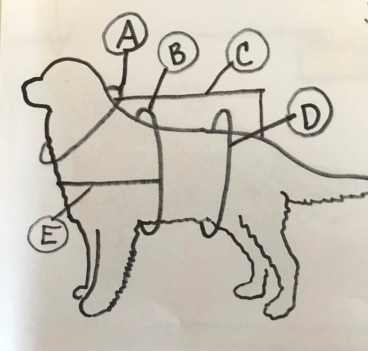 Lederhosen Dog Costume: Oktoberfest Harness Vest, Pants & Hat