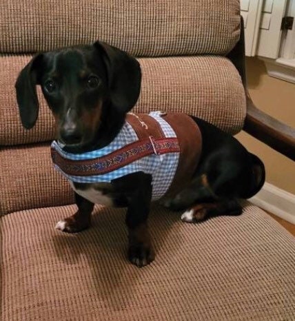 Oktoberfest Dog Costume: Bavarian Vest with Hat