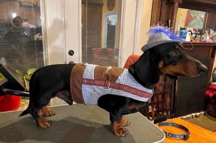 Oktoberfest Dog Costume: Bavarian Vest with Hat