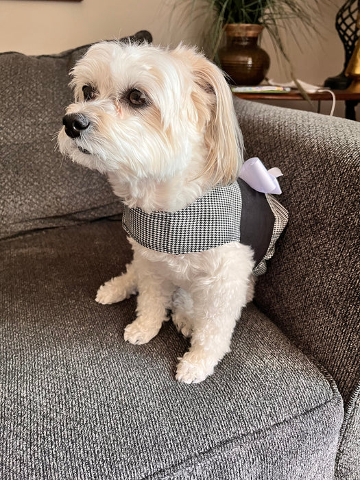 Dog Dress Houndstooth Black and White by Fetching Dog Fashions