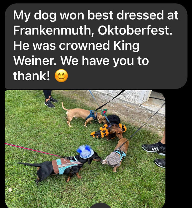 Oktoberfest Dog Costume: Bavarian Vest with Hat