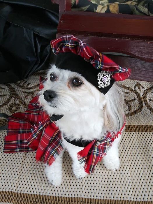 Tartan Dog Kilt with Tam Hat: Scottish Pet Costume