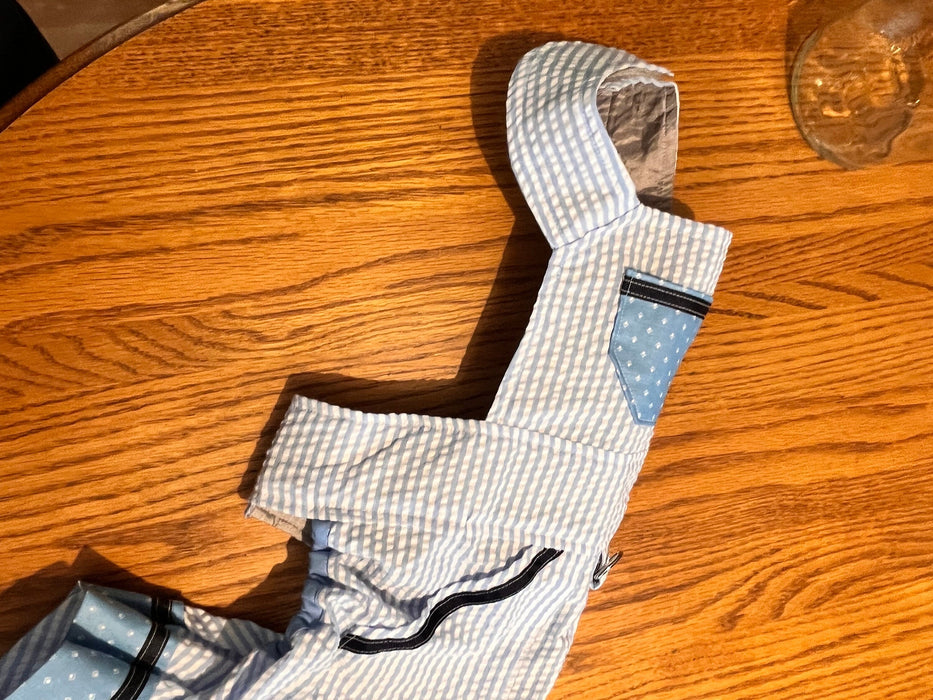 Bib Overalls by Fetching Dog Fashions