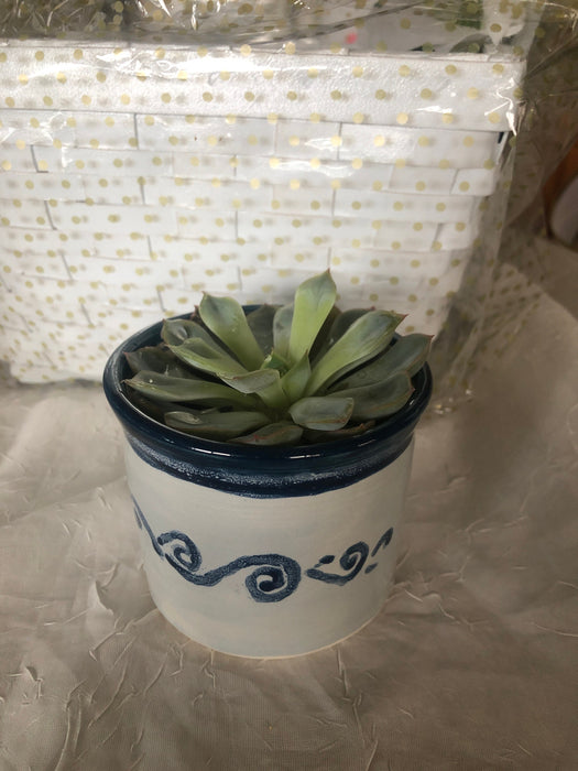 Healing Gift Basket: Lavender Soap, Elderberry Syrup, Tea