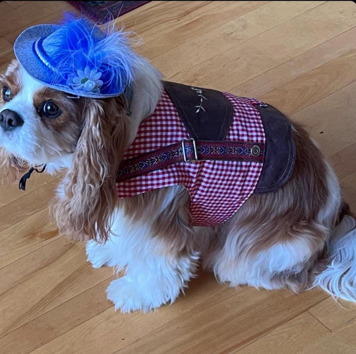 Oktoberfest Dog Costume: Bavarian Vest with Hat