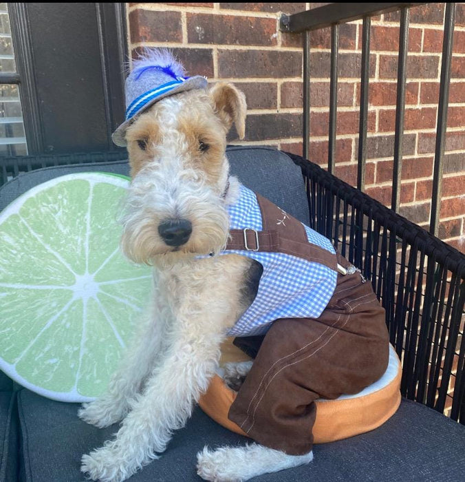 Lederhosen Dog Costume: Oktoberfest Harness Vest, Pants & Hat