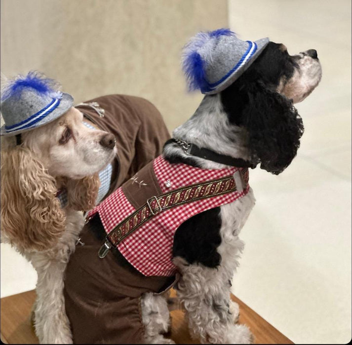 Lederhosen Dog Costume: Oktoberfest Harness Vest, Pants & Hat