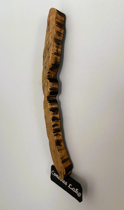 Conesus Lake Cutout Stave Wall Hanging