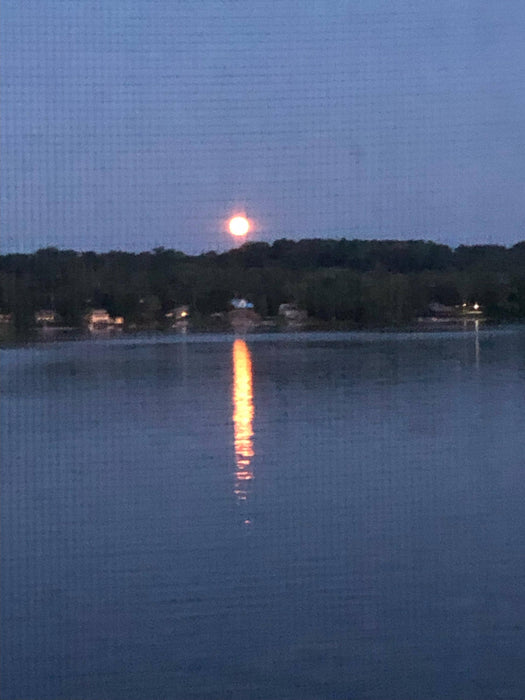 The Lake Remembers --Children's book