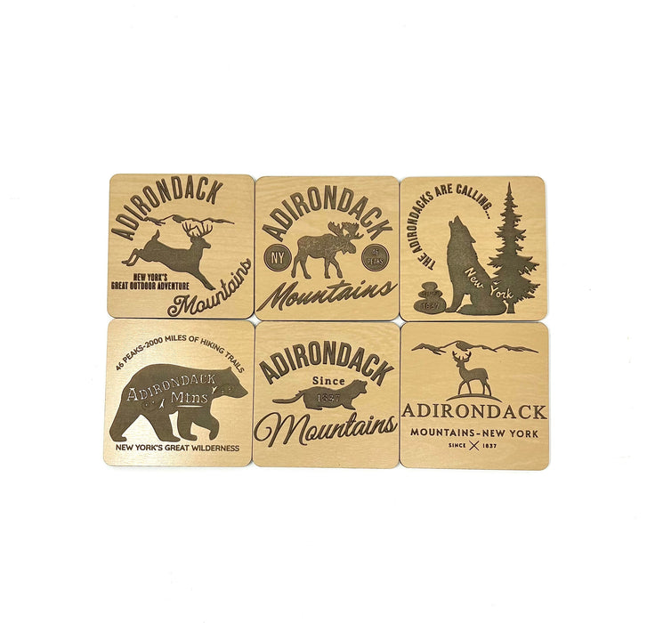 Adirondack Mountains Coasters