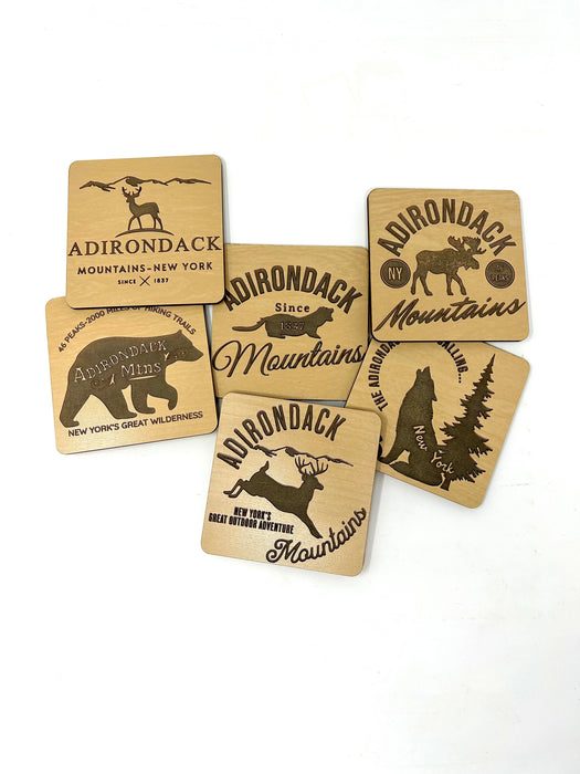 Adirondack Mountains Coasters