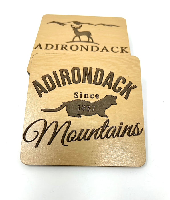 Adirondack Mountains Coasters