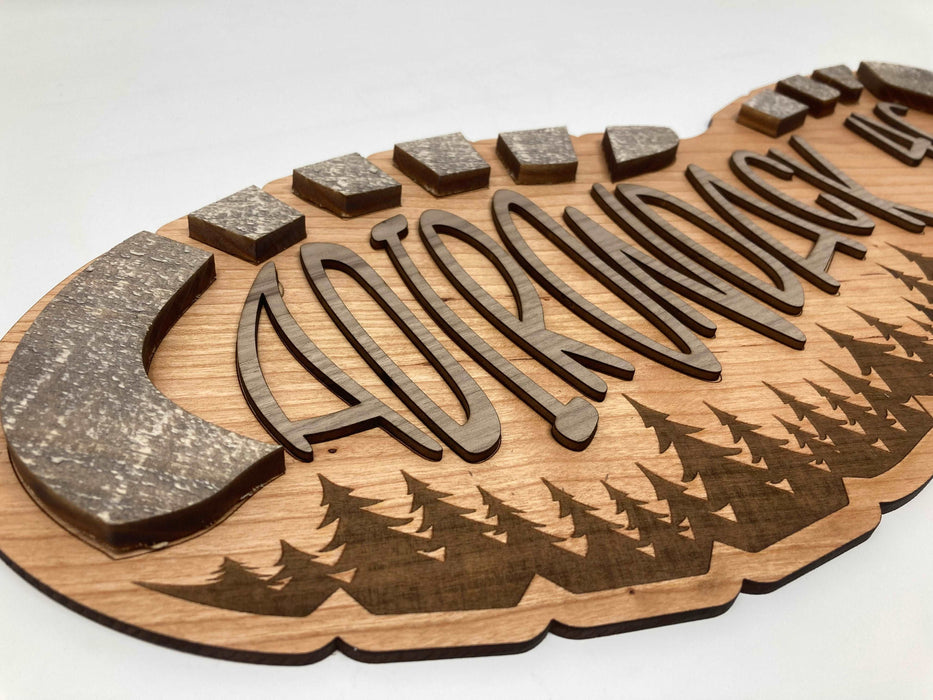 Adirondack 46 Hiking Boot Wall Art