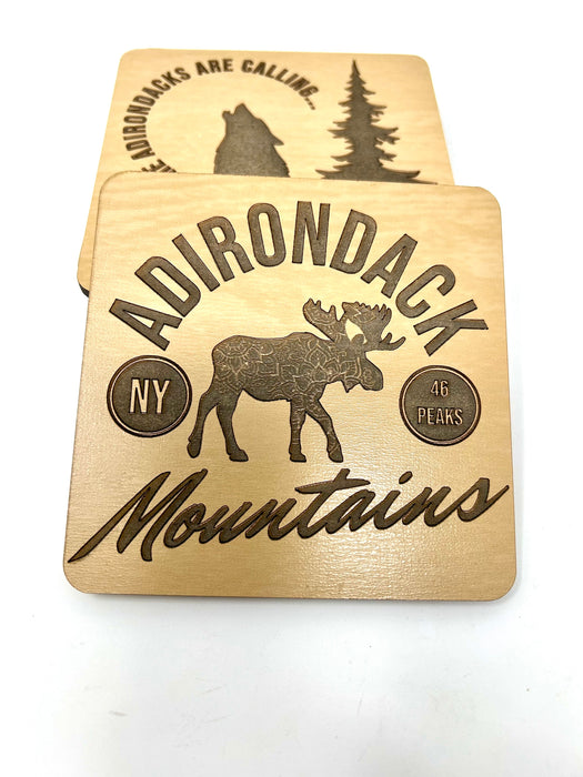 Adirondack Mountains Coasters