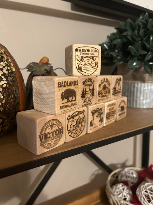 US National Parks Building Blocks