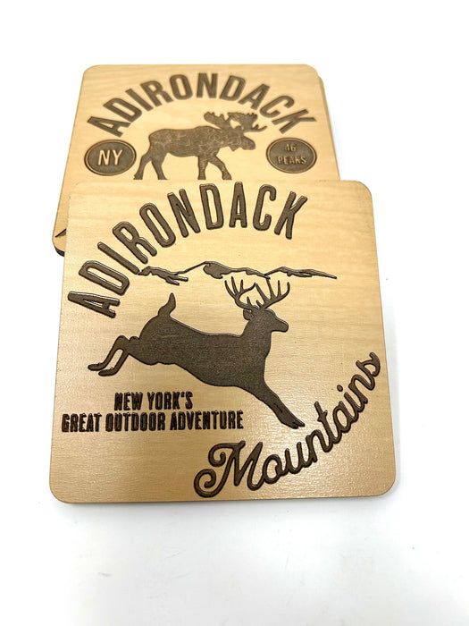 Adirondack Mountains Coasters